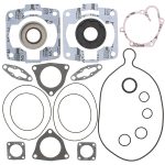 711287 | Gasket Set & Oil Seals Polaris