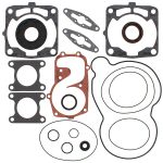 711300 | Gasket Set & Oil Seals Polaris
