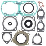 711301 | Gasket Set & Oil Seals Yamaha