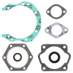 711308 | Sachs 6 Bolt Full Set
