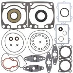711311 | Gasket Set & Oil Seals Arctic Cat
