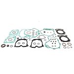 711333 | Gasket Set & Oil Seals Ski Doo
