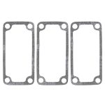 719101 | Power Valve Gasket Set