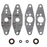 719103 | Power Valve Gasket Set