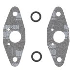 719113 | Power Valve Gasket Set