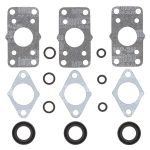 719118 | Power Valve Gasket Set