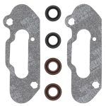 719204 | Power Valve Gasket Set