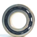 720-1061 | Double Row Ball Bearing Polaris