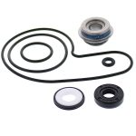 721217 | Water Pump Rebuild Kit