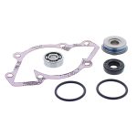 721258 | Water Pump Rebuild Kit