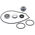 721299 | Water Pump Rebuild Kit