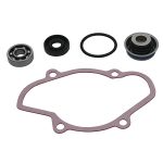 721312 | Water Pump Rebuild Kit