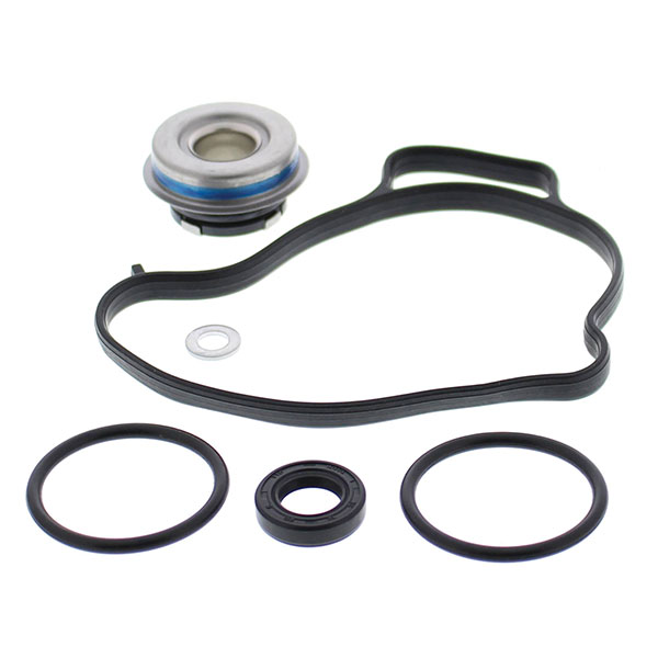 721322 | Water Pump Rebuild Kit