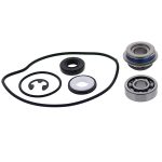 721323 | Water Pump Rebuild Kit