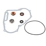 821891 | Water Pump Rebuild Kit