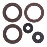 822362 | Engine Oil Seal Kit Can-Am