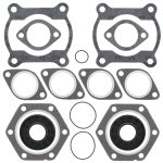 711110C | Complete Seal With Oil Seal Polaris Assembly