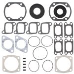 711162C | Gasket Set & Oil Seals Ski Doo