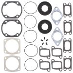 711162D | Gasket Set & Oil Seals Ski Doo