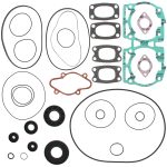 711194 | Gasket Set & Oil Seals Ski Doo