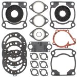 711207 | Gasket Set & Oil Seals Polaris