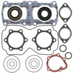 711209 | Gasket Set & Oil Seals Polaris