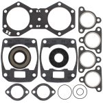 711238 | Gasket Set & Oil Seals Polaris