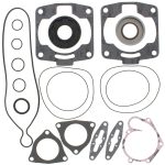 711252 | Gasket Set & Oil Seals Polaris