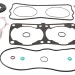 711316 | Gasket Set with Seal