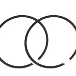 R09-737 | Polaris Ring Set 77.25 mm STD