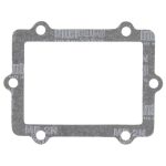 717263 | Reed Gasket - Polaris
