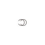 C09-22 | Circlip C09-22