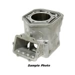 S420623262C | Cylinder - Ski-Doo 600 E-TEC 2009