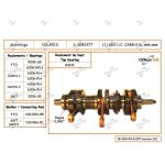 S3083577N | Crankshaft - Polaris 340 FC INJ. OIL Japanese Bearing