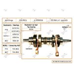 S3089530N | Crankshaft - Polaris 500 L/C 2000-11 MGT. Pto  Japanese BEARI