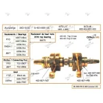S4210025N | Crankshaft - Ski Doo 670 L/C Japanese Bearing INCLUDED