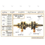 S4210151N | Crankshaft - Ski Doo 494 L/C Japanese Bearing INCLUDED