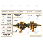 S4210569N | Crankshaft - Ski Doo 700 L/C Japanese Bearing INCLUDED