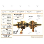 S4210570N | Crankshaft - Ski-Doo 700 L/C Japanese Bearing Included