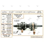 S4210622N | Crankshaft - Ski Doo 600 HO/SDI E-TEC 04-13 COME W/Grease