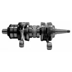 S8V0114000N | Crankshaft - Yamaha PZ480-485 1984-1998