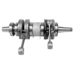 S4210601N | Crankshaft 550F/C Ski Doo Come with Grease Japanese Bearing