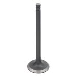 147503 | Exhaust Valve-Namura