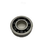 262-103 | 6307R/1DYR1NSLTSH Bearing 35X83X21