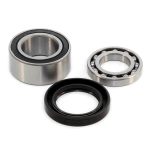 EPIBK109 | Driveshaft Bearing and Seal Kit