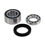 EPIBK110 | Driveshaft Bearing and Seal Kit