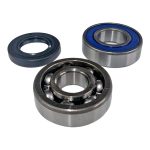 EPIBK125 | Driveshaft Bearing and Seal Kit