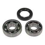 EPIBK127 | Driveshaft Bearing and Seal Kit