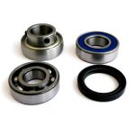 EPIBK129 | Jackshaft Bearing and Seal Kits