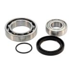 EPIBK137 | Jackshaft Bearing and Seal Kits